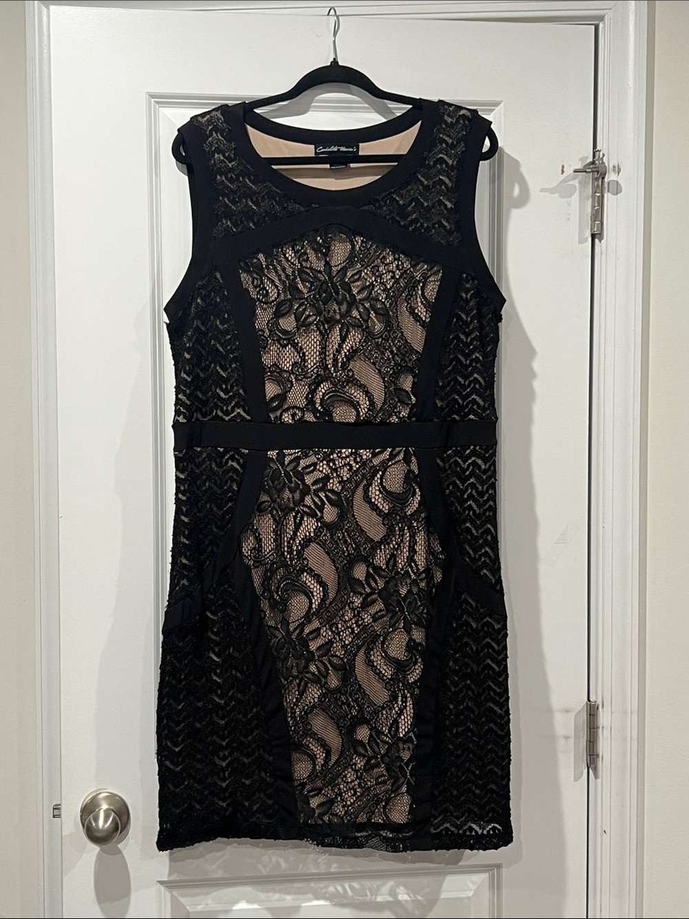Sleeveless Black Lace Overlay Dress with Nude Lining